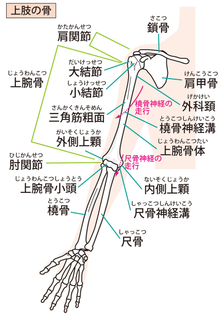 あなたもテニス肘(テニスやってないけど)かも！？