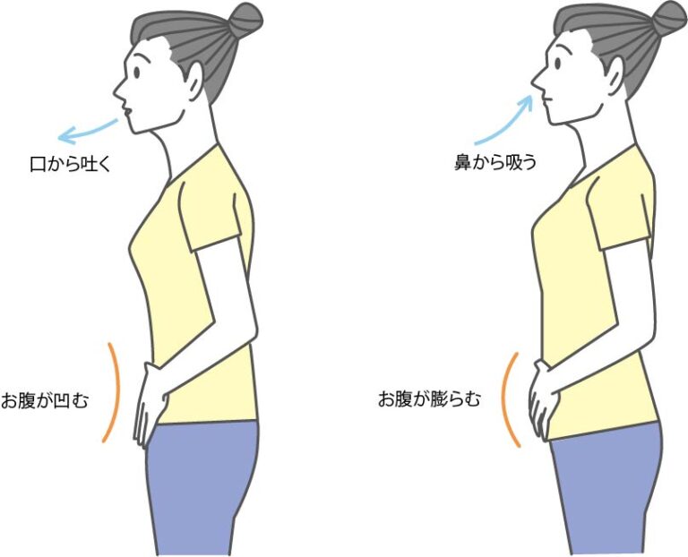 【反り腰】の改善には【肋骨の柔らかさ】が重要かも？