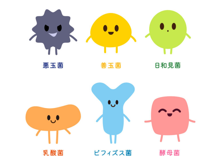 【頭痛の人】 リーキーガット症候群 【腸脳相関】　３