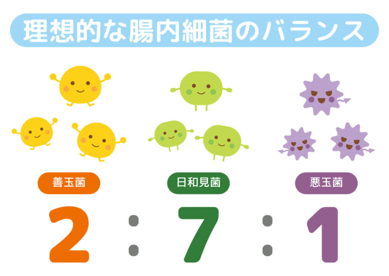 【日和見菌】 どっちが好きなのよ！ 【腸脳相関】　5